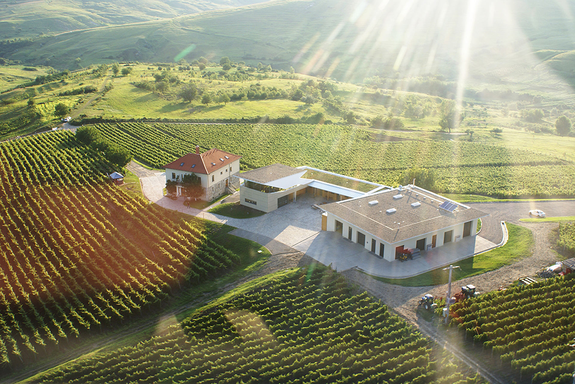 i-unit-architekten--Lacerta Winery, Romania